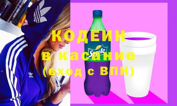 прущие грибы Каменногорск