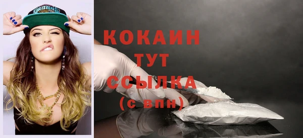прущие грибы Каменногорск