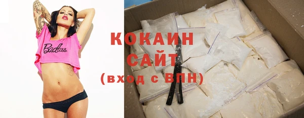 прущие грибы Каменногорск
