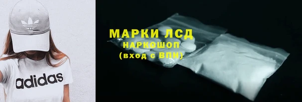 прущие грибы Каменногорск