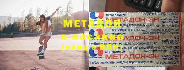 прущие грибы Каменногорск