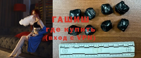 прущие грибы Каменногорск