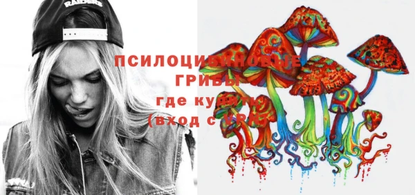 jwh Каменка