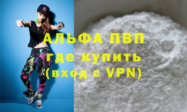 прущие грибы Каменногорск