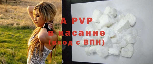 прущие грибы Каменногорск