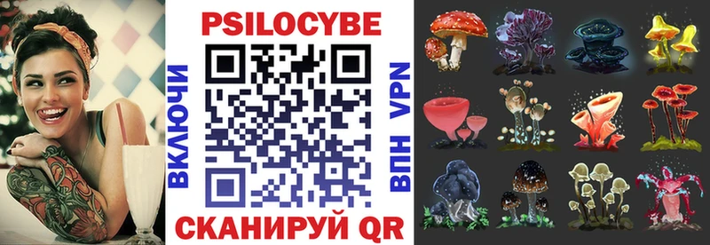 Купить закладки  Тырныауз  Псилоцибиновые грибы MAGIC MUSHROOMS 